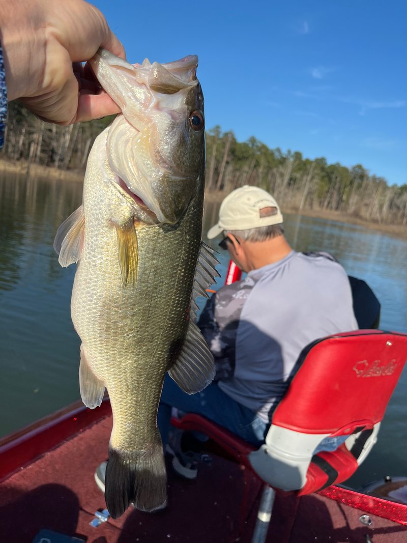 Allan Kent Henagan - Photo 102