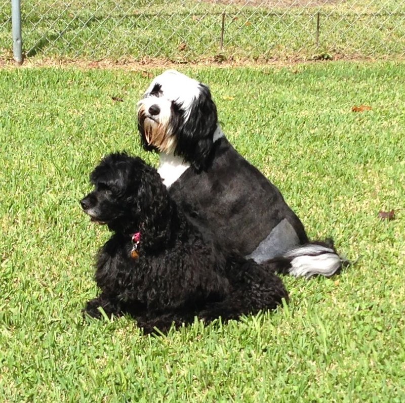 John (Johnny) W. Guidry Sr. - Photo 12