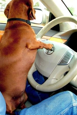 Rayburn "Ray" Max Matthews - Photo 98