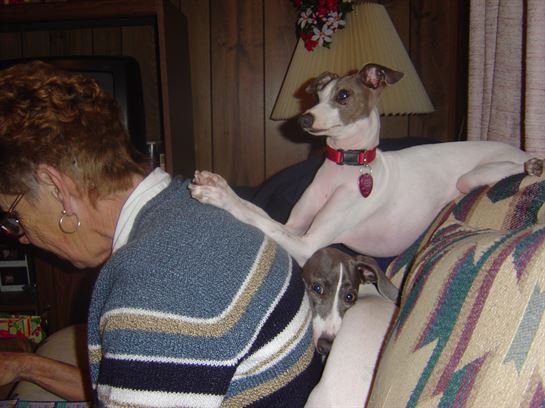 Barbara Rena Daigle - Photo 66