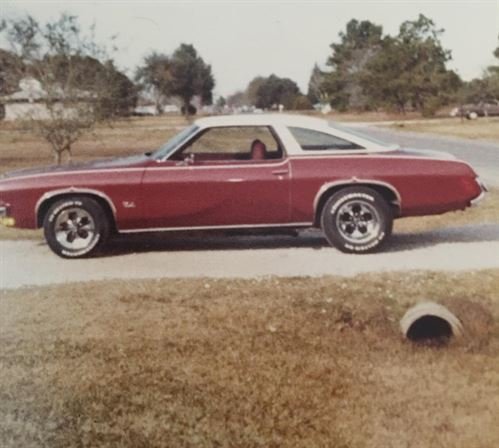 Blain Jason Viator - Photo 43