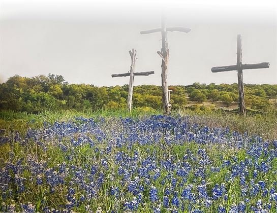 Doyle Wayne McCamey - Photo 85