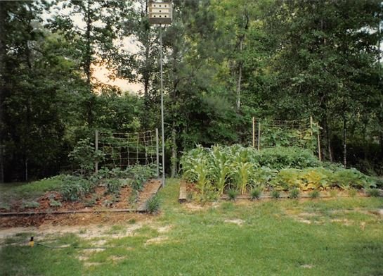 Jerry Dale Schlabs - Photo 8