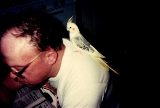 Laurie Miller Jr. - Photo 25