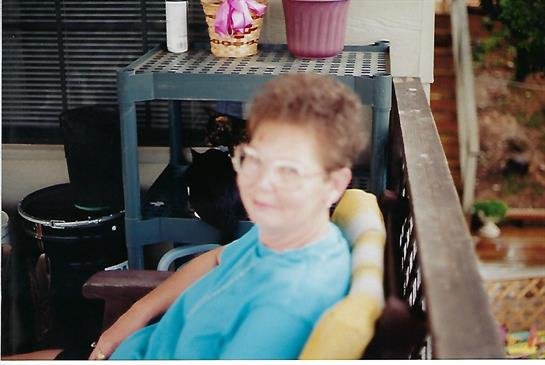 Jean Ann Ickles - Photo 48