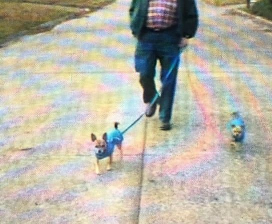 Charles Robert Moxley - Photo 50