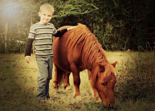 Shirley Ann Chapman - Photo 62