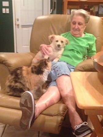 Justine Pachar - Photo 48