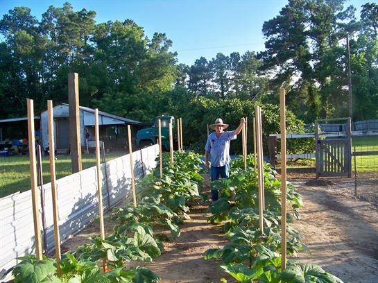 James T. "Jimmy" Bland, Jr. - Photo 4