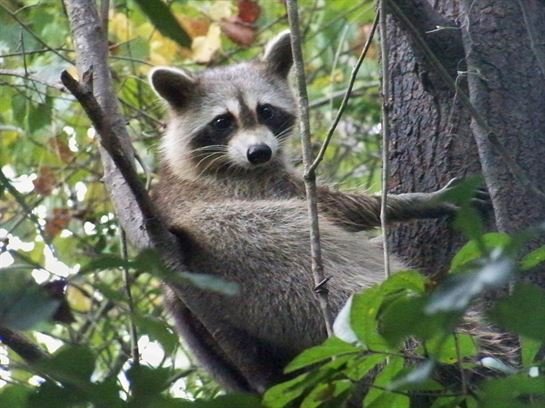James T. "Jimmy" Bland, Jr. - Photo 12