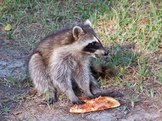 James T. "Jimmy" Bland, Jr. - Photo 11