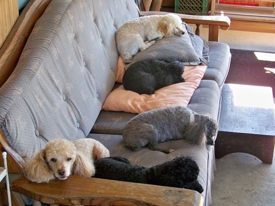 James T. "Jimmy" Bland, Jr. - Photo 29