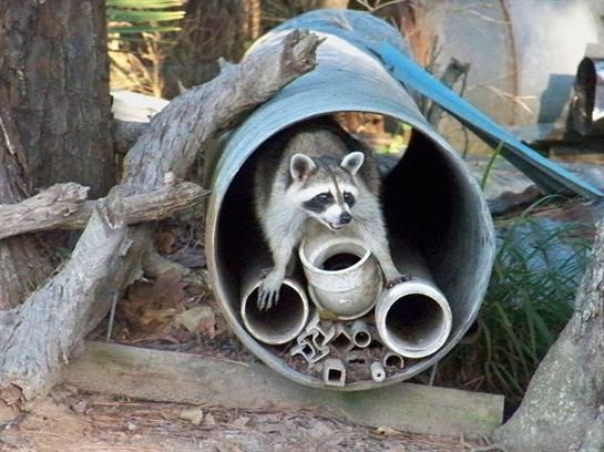 James T. "Jimmy" Bland, Jr. - Photo 61