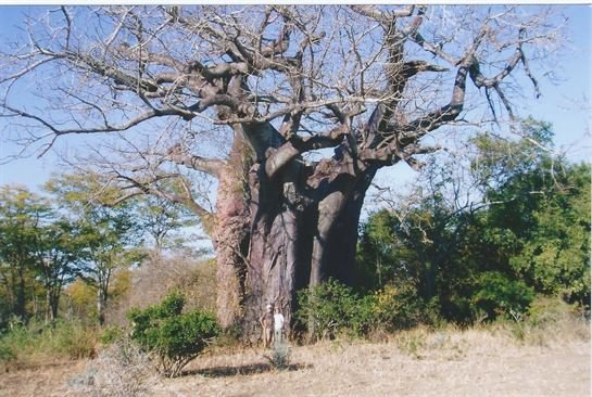 James Theodule Richard - Photo 238