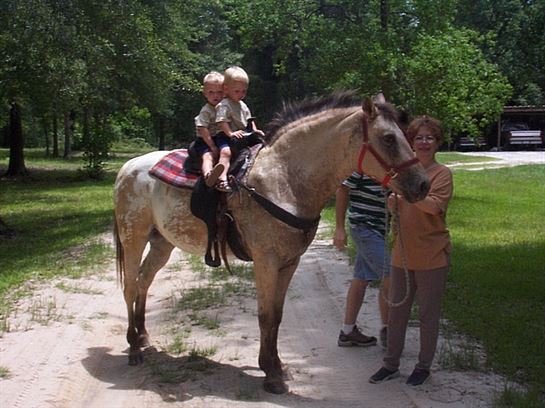 Tommie Jo Eubanks - Photo 65