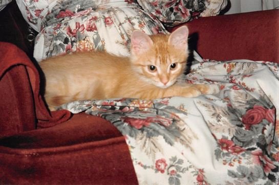 Betty Jo Pace Berry Kelley - Photo 2