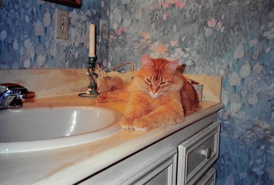 Betty Jo Pace Berry Kelley - Photo 12