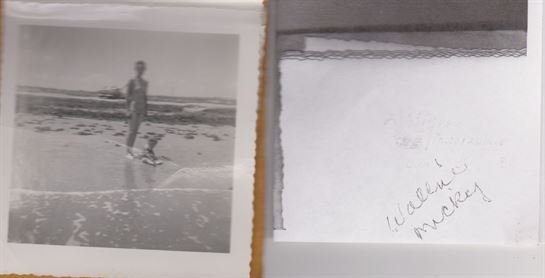 Walline Permenter - Photo 52