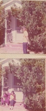 Walline Permenter - Photo 146