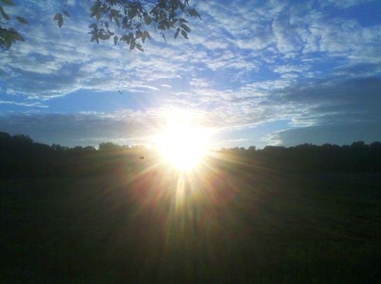 Thomas Granger - Photo 7