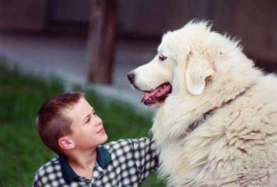 Thomas Granger - Photo 77