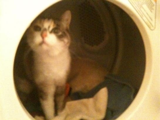 Christopher Lee Boehme M.D. - Photo 21