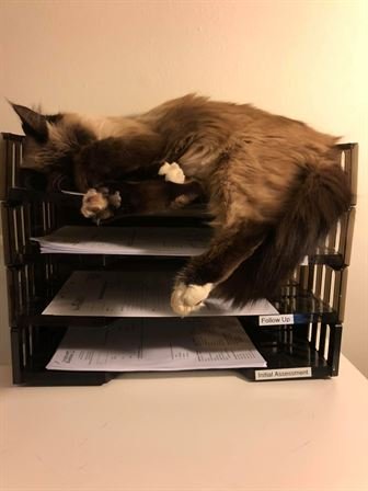 Christopher Lee Boehme M.D. - Photo 37