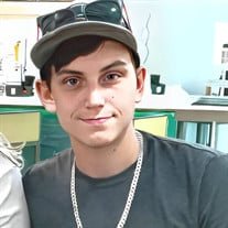 Brenten Douglas Herring