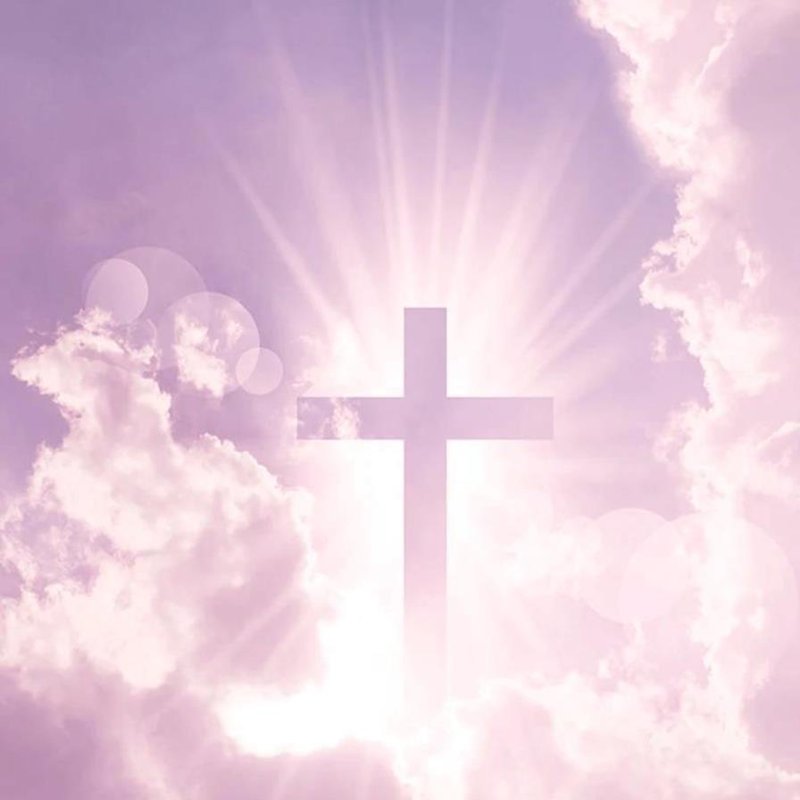 Maggie Jane Wells - Photo 2