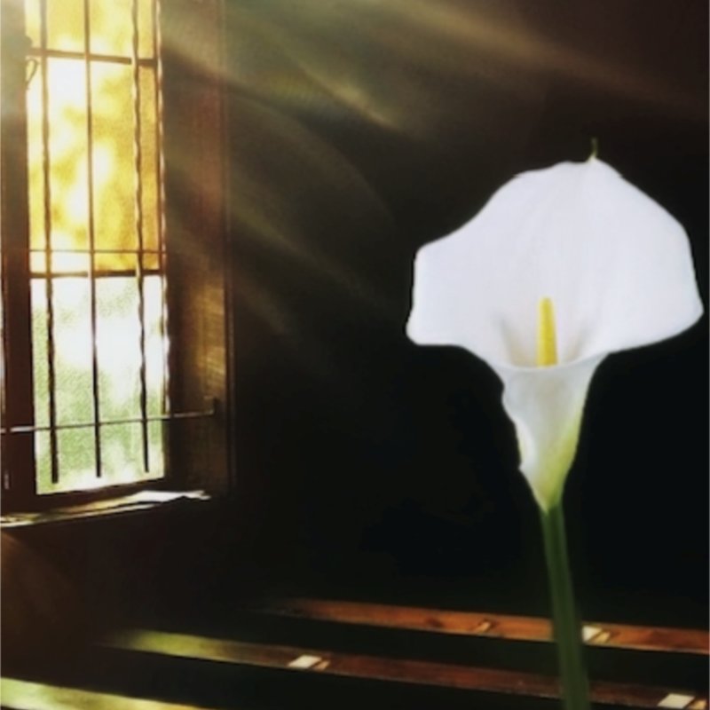 Katherine Ann Mason - Photo 2