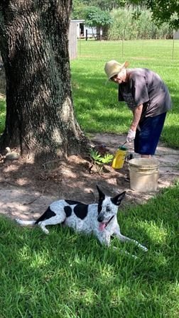 Geraline Lange - Photo 92