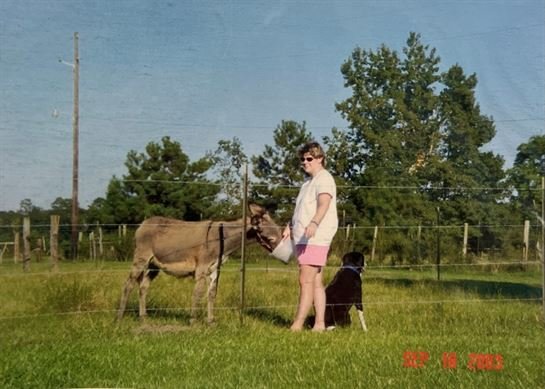 Kathryn Stelly - Photo 13