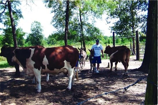 Timothy Hinson - Photo 53