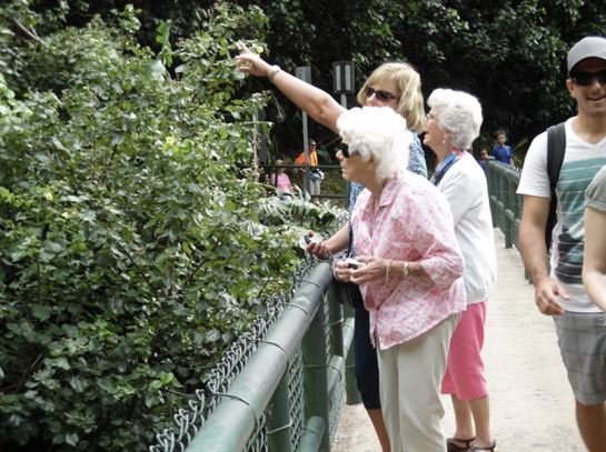 Lorene B. Camp - Photo 35