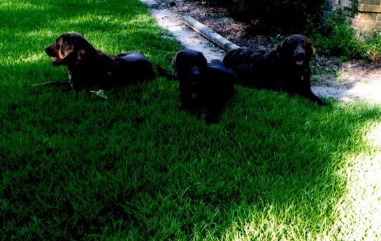 Loyd "Hoppy" Hopkins - Photo 66