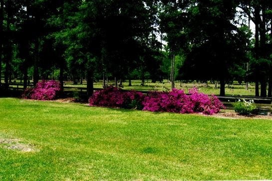 Loyd "Hoppy" Hopkins - Photo 86