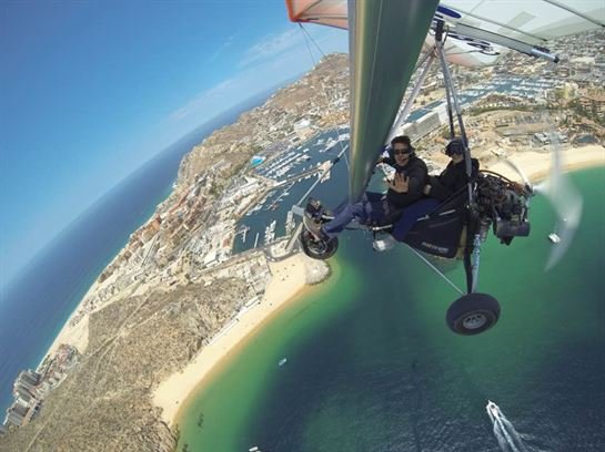 Violet Lola Branch - Photo 3