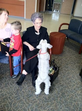 Violet Lola Branch - Photo 48