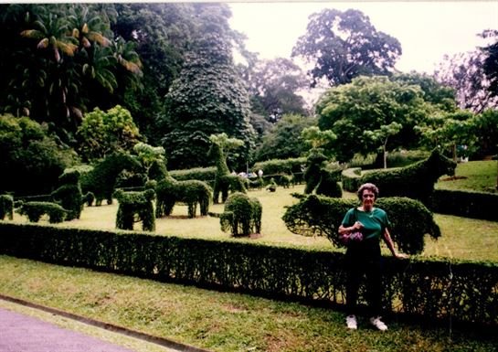 Violet Lola Branch - Photo 101