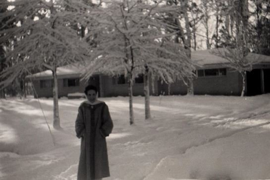 Violet Lola Branch - Photo 138