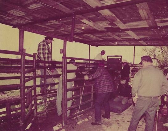 Franklin Augustus (Gus) Harris, Jr. - Photo 3