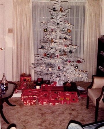 Greydon Gordon Baldwin, Sr. - Photo 43