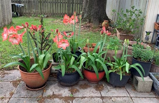 Hilda Marie Turner Mire - Photo 107