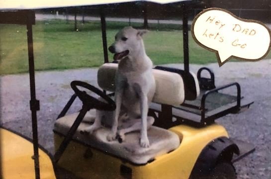 Randy Simmons — photo 53