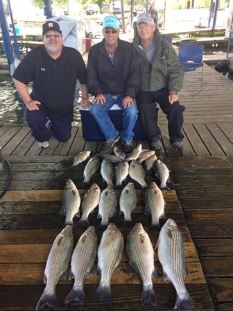 Edward Hutchins - Photo 119