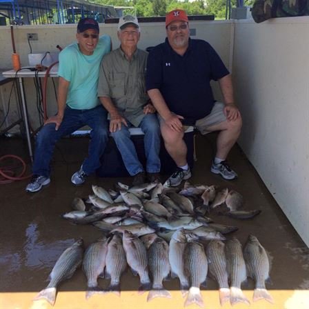 Edward Hutchins - Photo 130