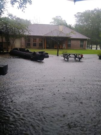 Evelyn Morris - Photo 61