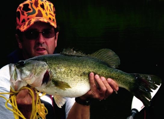 Ronald Joseph Trahan - Photo 75