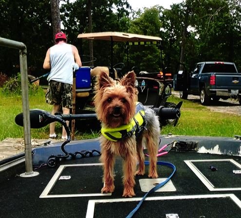 Ronald Joseph Trahan - Photo 80