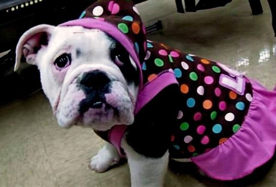 Shane Edward Tesch - Photo 58